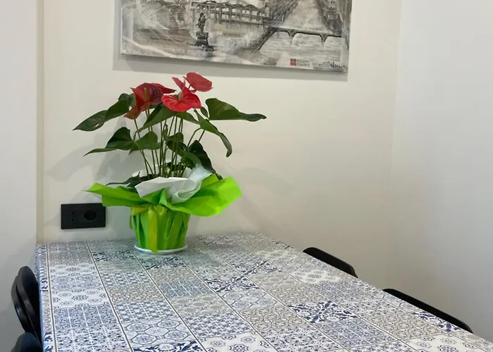 Splendid בית הארחה טורינו