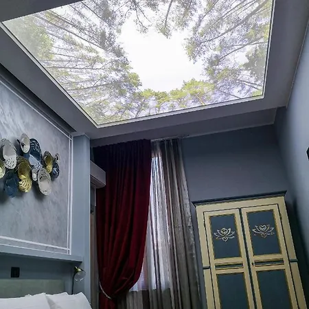 Splendid Guest house